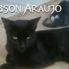 Foto de: Robson Araújo