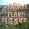 Foto de: Forró Flor Do Serrado