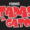 Forro Tapas em Gatos