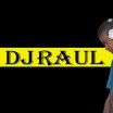 dj raul