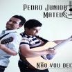 Pedro Junior e Mateus
