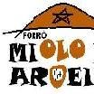 Miolo de Aroeira