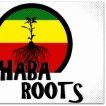 Shaba Roots