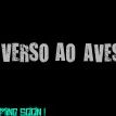 Verso ao Avesso