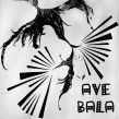 Ave Bala