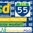 politica 55