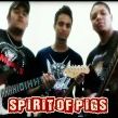 Spirit of Pigs