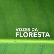 Vozes da Floresta