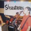 Sheetoos
