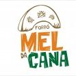 Mel da Cana