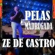 ze de castro solo