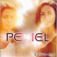 Grupo Peniel