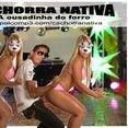 Cachorra Nativa