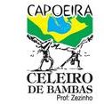 Capoeira Celeiro de Bambas
