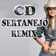 sertanejo remix 2013