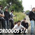 Bordogos S/A