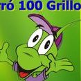 Forró 100 Grillo