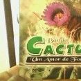 Banda Cactus