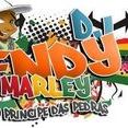 Dj Endy Marley o Pancadão do Reggae