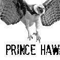 Prince Hawk