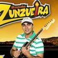 Banda Zunzuêira