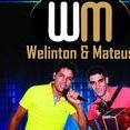 Welinton e Mateus