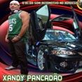 xandy pancadao