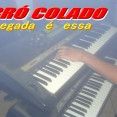 .F.COLADO