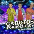 Garotos Forrozeiros