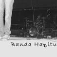 BANDA HABITUS
