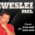 diweslei mel