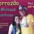 FORROZÃO MULEQUE MANHOSO