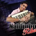 Naldinho Ribeiro - Forró Pé de Serra