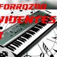 Forrozao Evidentes vol 9