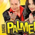 Banda Palmer