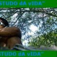 "eSTUDO dA vIDA"