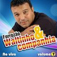 forrozao waltinho e companhia