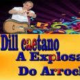 Dill caetano a Explosão do Arrocha