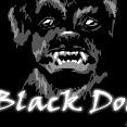 Black Dog