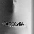 banda gardenia