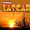 Banda Forró Lascado