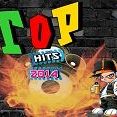 Top Hits 2014