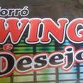 Forro Swing & Desejo