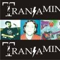 TRANSAMINASE BAND