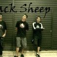 black sheeps