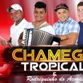 Banda Chamego Tropical(OFICIAL)