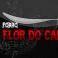 FORRÓ FLOR DO CAROÁ
