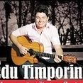 Edu Timporini