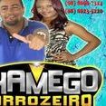 CHAMEGO FORROZEIRO