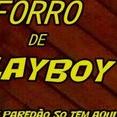 Forro de Playboy